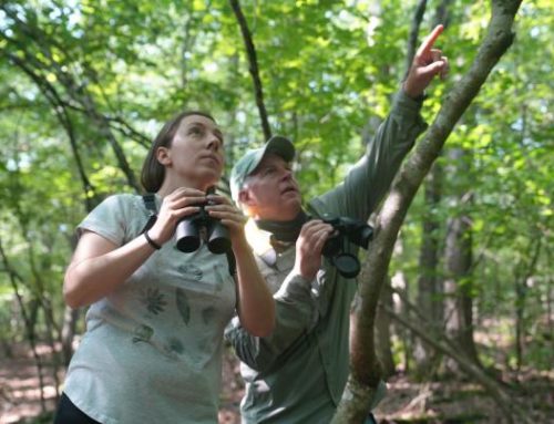 The Best Things to Do in Warwick, RI, by Season
