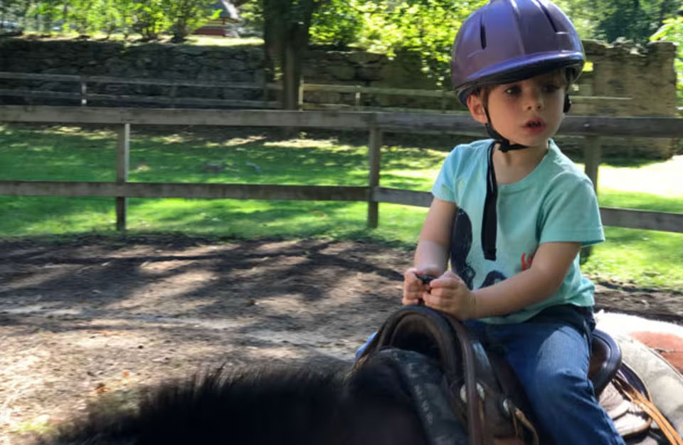 C and L Stables