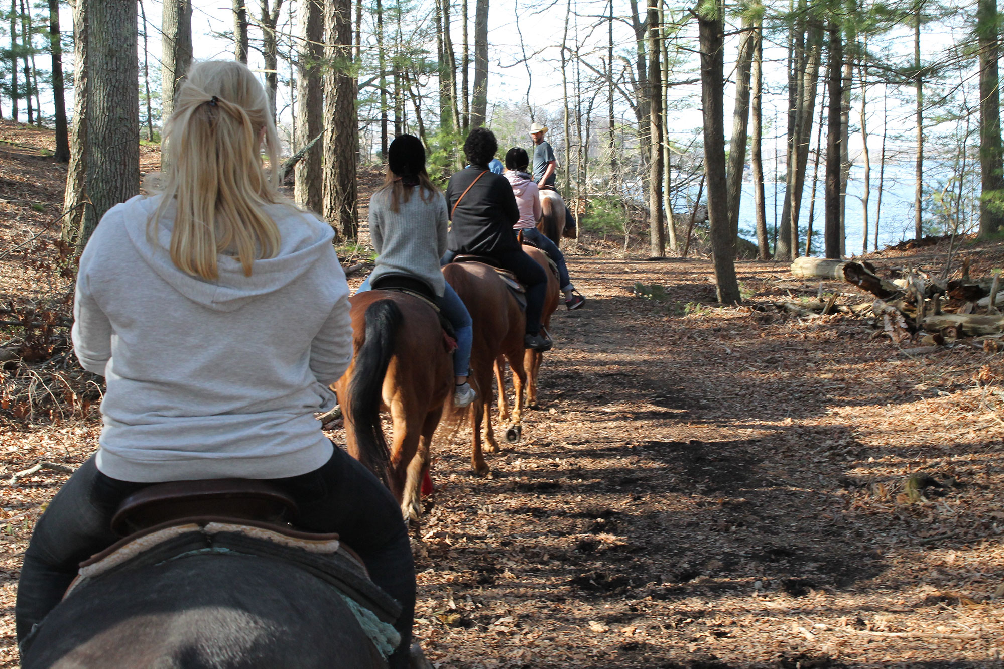Horseback riding in Goddard Park with C&L Stables